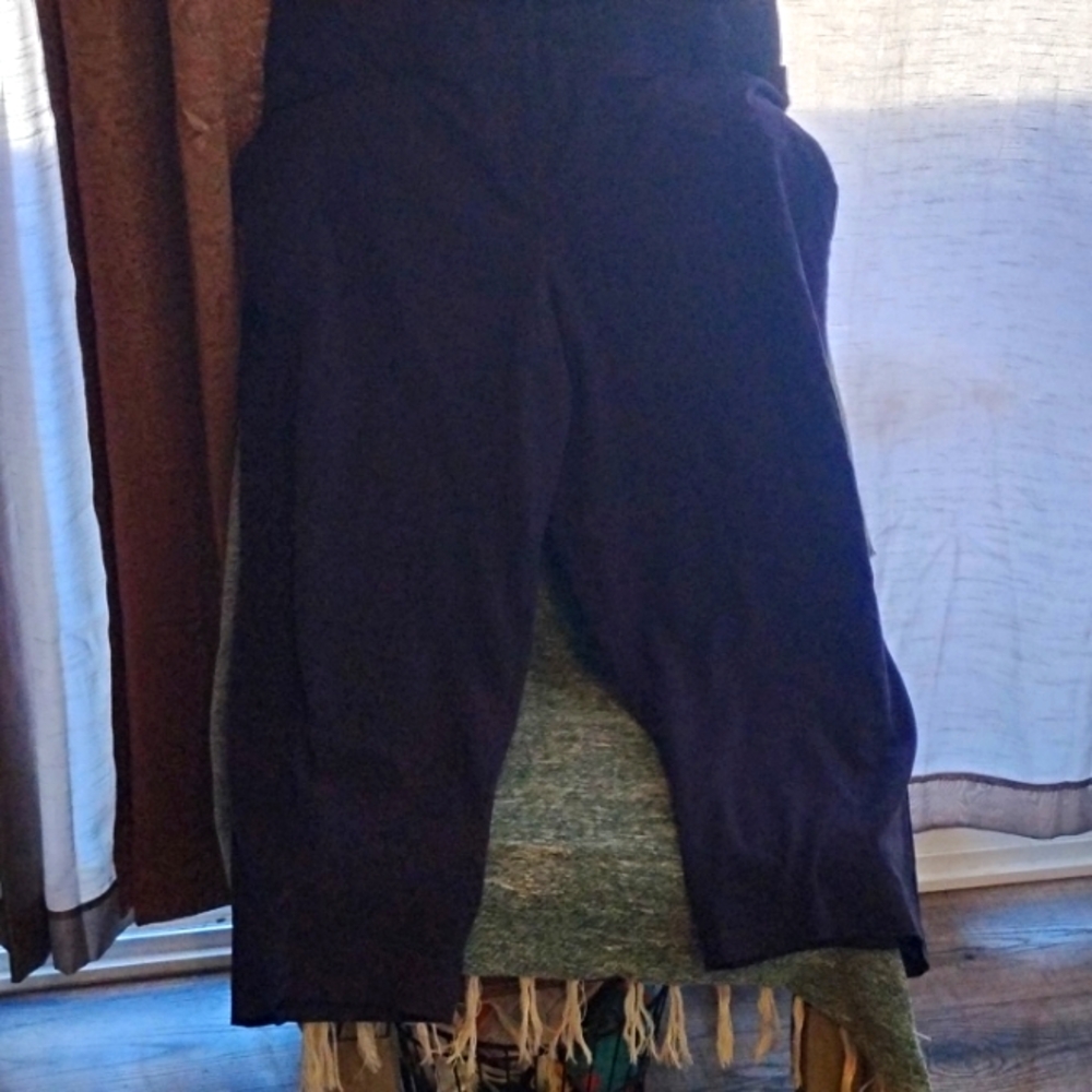 22s the Allie lane Bryant  navy dress pants